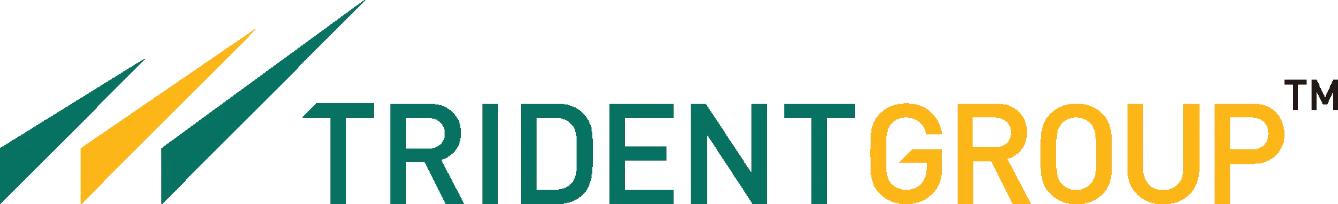 trident group-logo