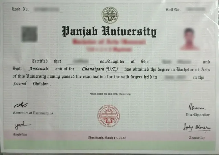 PU Degree Certificate