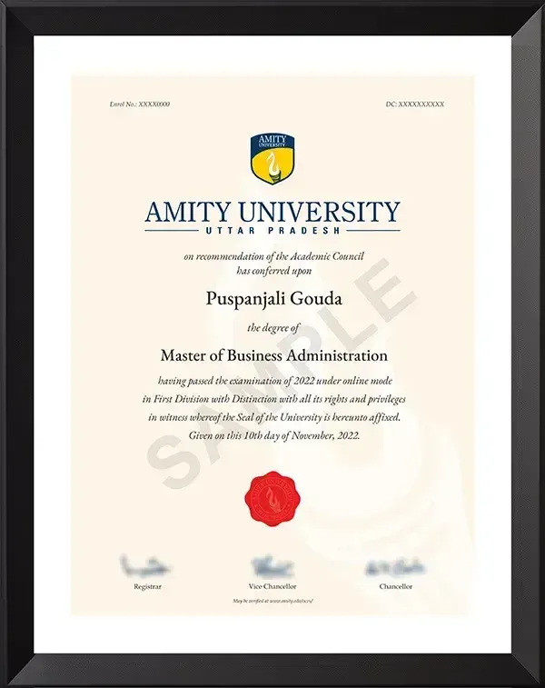 Amity University Jaipur Degree Certificate